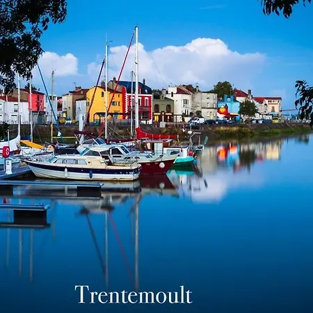 Voyage A Little Havana Bouguenais