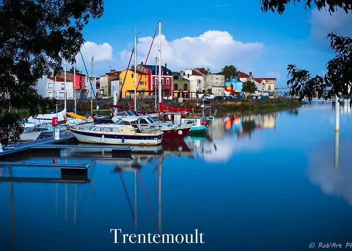 Voyage A Little Havana Bouguenais